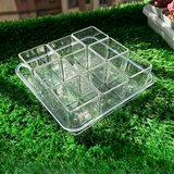 Crystal Clear Acrylic Mini Thumb Succulent Pots Set with Drainage Tray