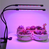 Boost Succulent Growth! Full-Spectrum LED Grow Light for Indoor & Micro - Landscape Sunlight Needs