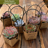 Live Succulent Party Favors Gift Set with "Good Luck" Kraft Tote Bags | Birthday, Wedding, Corporate Event Creative Giveaway