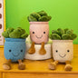 Chubby Feet™ Kawaii Succulent Plushie - Aesthetic Desk Buddy & Home Decor