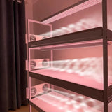 The Oasis-4-Tier Heavy Duty Mobile Succulent Grow Rack with Bottom-Watering Trays & Adjustable Ventilation Fans